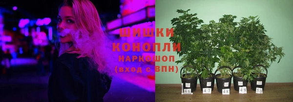 ешки Арсеньев