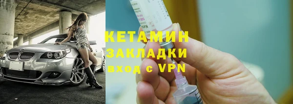 шишки Аркадак