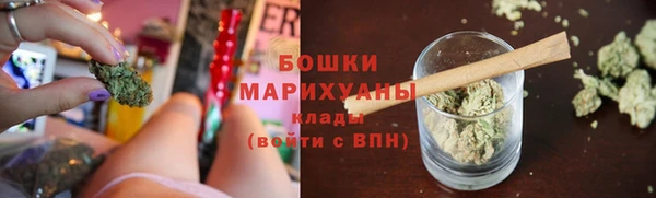 ешки Арсеньев