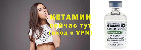 шишки Аркадак