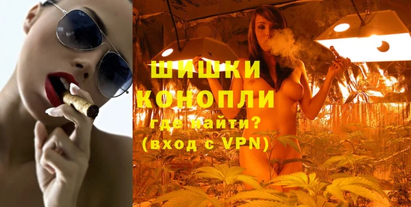 шишки Аркадак