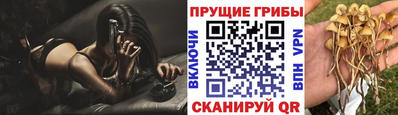 Псилоцибиновые грибы GOLDEN TEACHER Сухой Лог